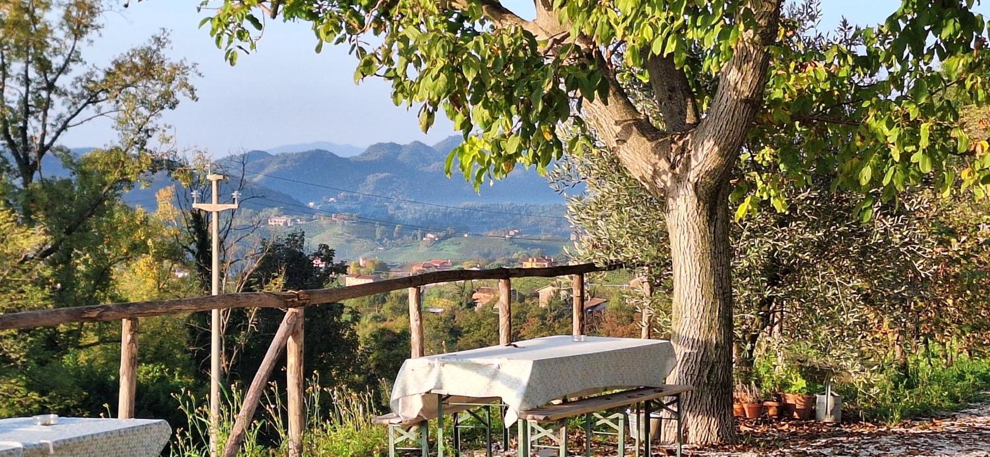 Agriturismo La Pina Tarzo Exterior foto
