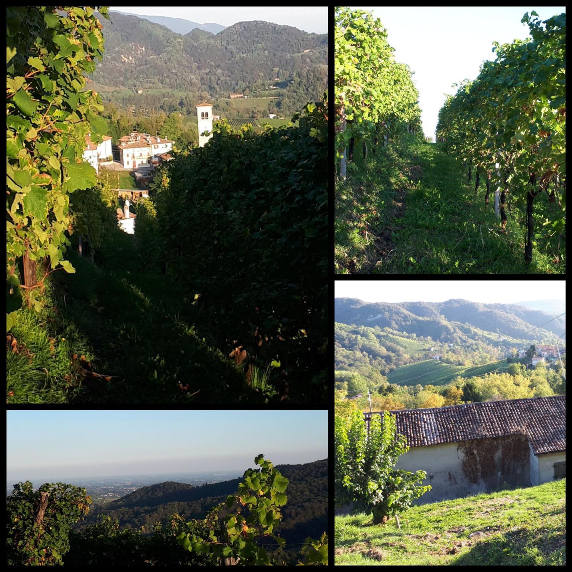Agriturismo La Pina Tarzo Exterior foto